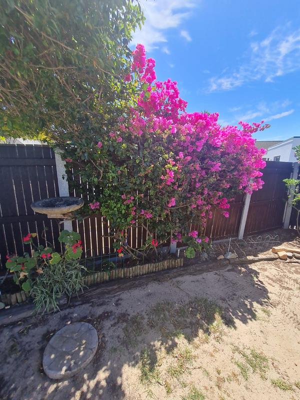 2 Bedroom Property for Sale in Parklands Western Cape